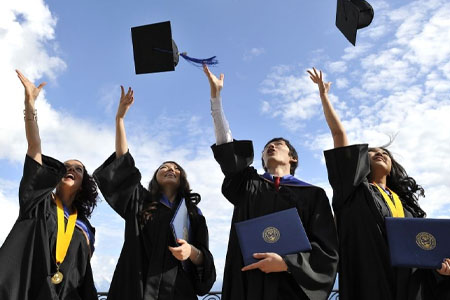 обучение и карьера в Новой Зеландии обучение и карьера в Новой Зеландии